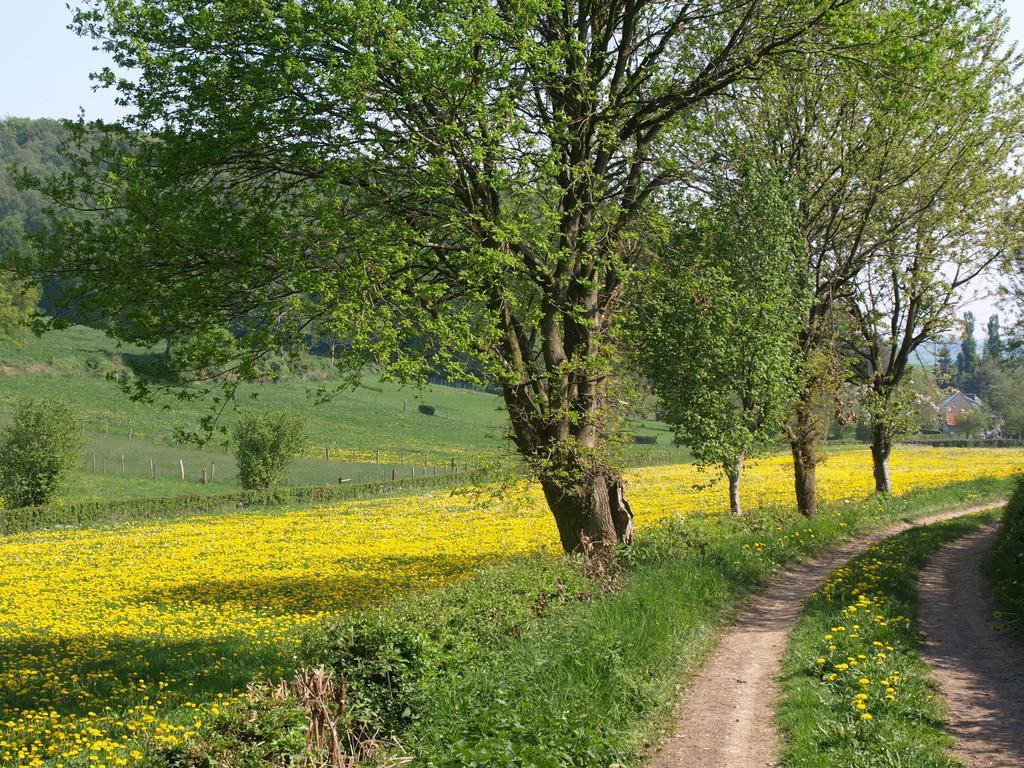 Buitenplaats De Mechelerhof